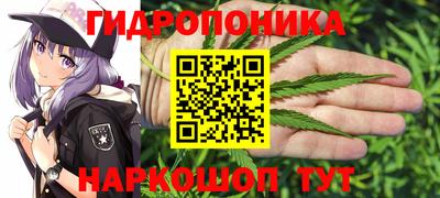 прущие грибы Железногорск