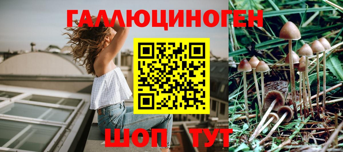 Псилоцибиновые грибы Magic Shrooms Бор